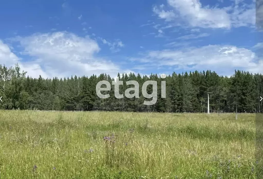 Участок в Красноярский край, Красноярск городской округ, пос. Элита  ... - Фото 1