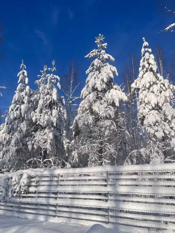 Участок в Ленинградская область, Приозерский район, Сосновское с/пос, ... - Фото 0