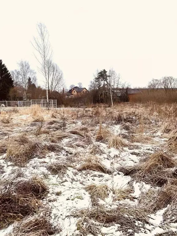 Участок в Московская область, Солнечногорск Спасская ул., 20Б (11.0 ... - Фото 2