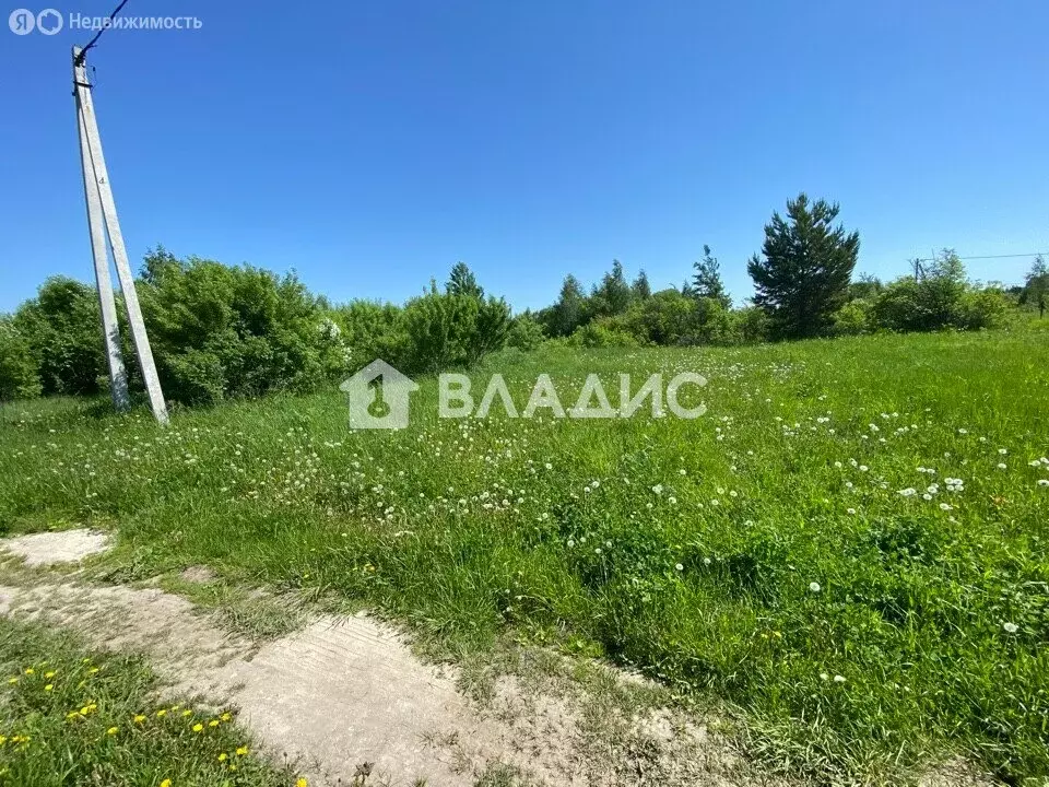 Участок в Луховицы, садовое товарищество Омега, 111 (6 м) - Фото 2
