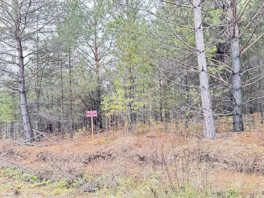 Участок в Свердловская область, Талица ул. Луначарского (10.6 сот.) - Фото 1