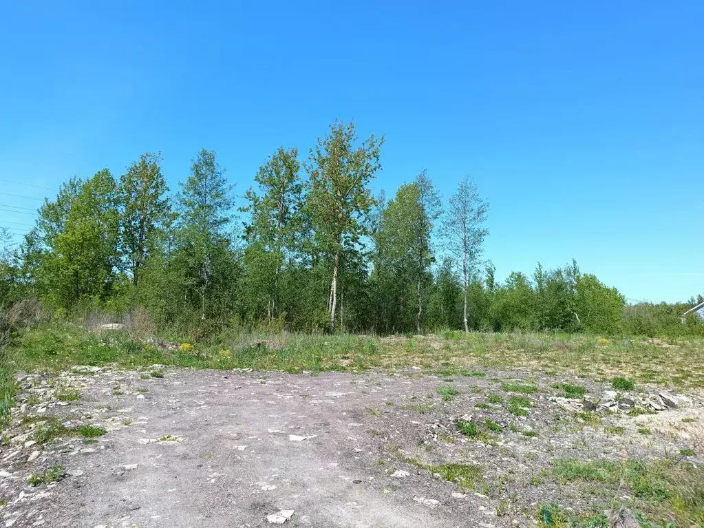 Участок в Новгородская область, Новгородский район, Ермолинское с/пос, ... - Фото 1