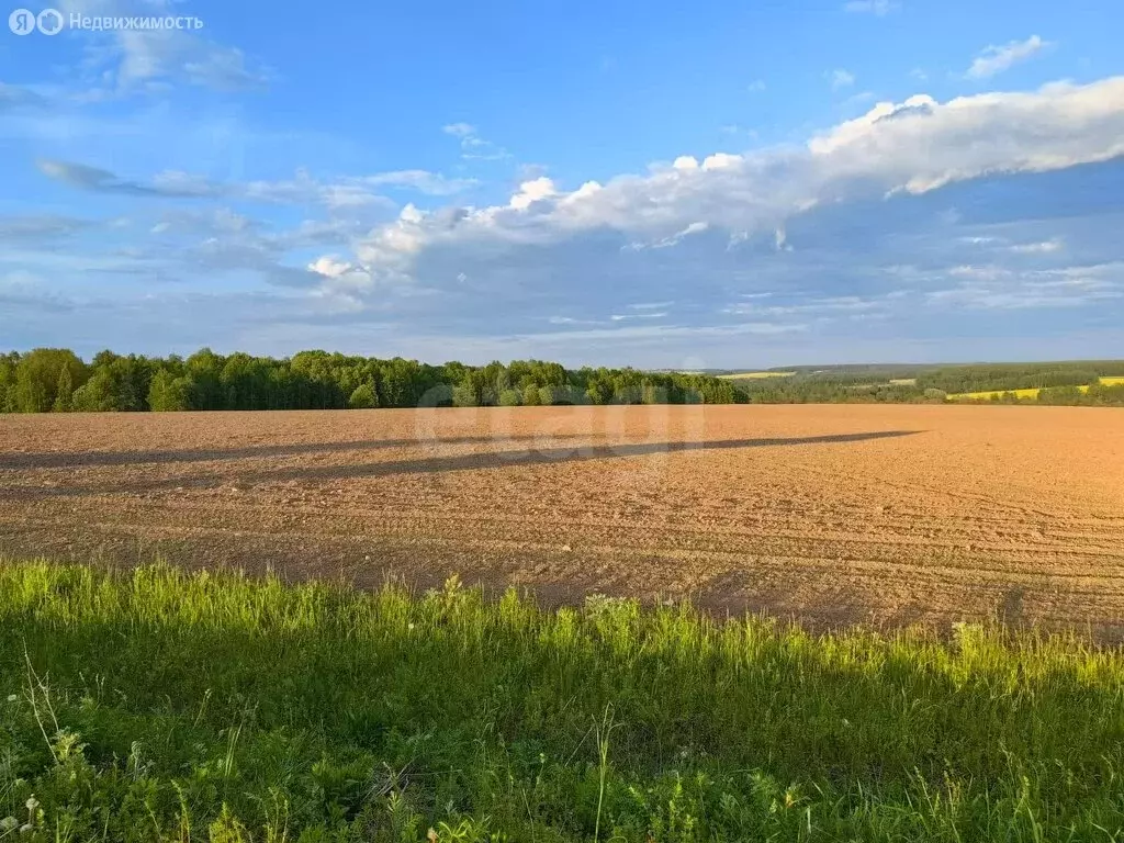Участок в Тульская область, городской округ Тула, деревня Уваровка ... - Фото 2