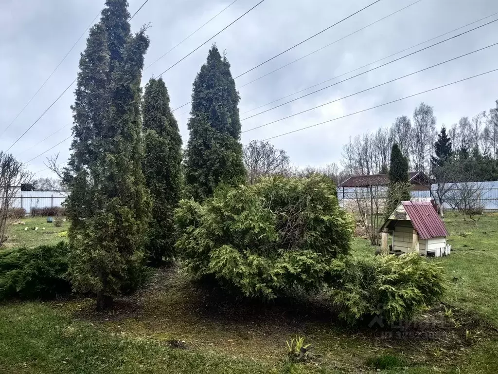 Участок в Московская область, Богородский городской округ, Березка-4 ... - Фото 1