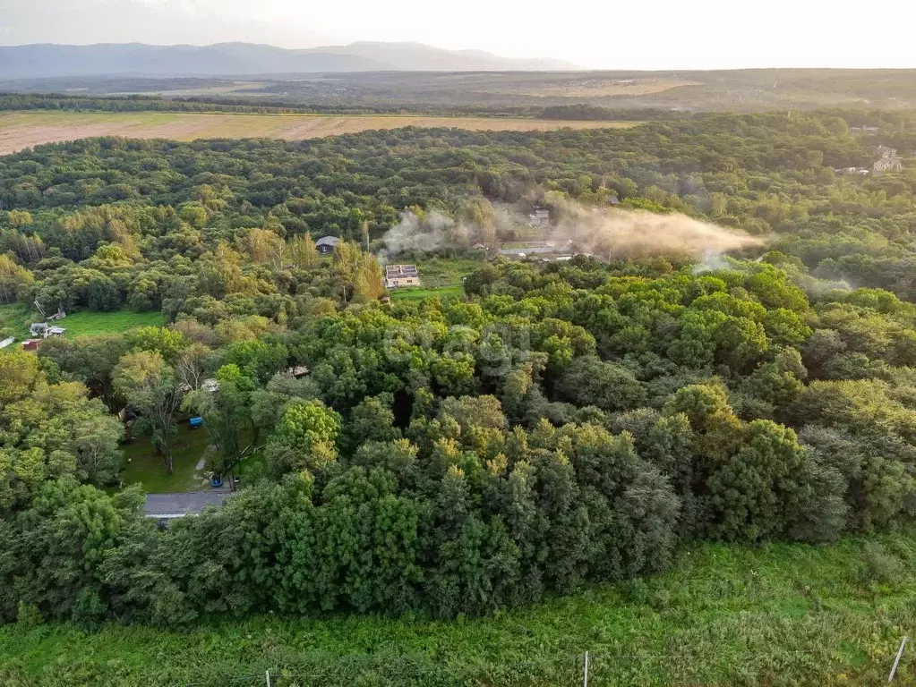 Участок в Хабаровский край, Хабаровский район, с. Корсаково-2  (40.0 ... - Фото 1