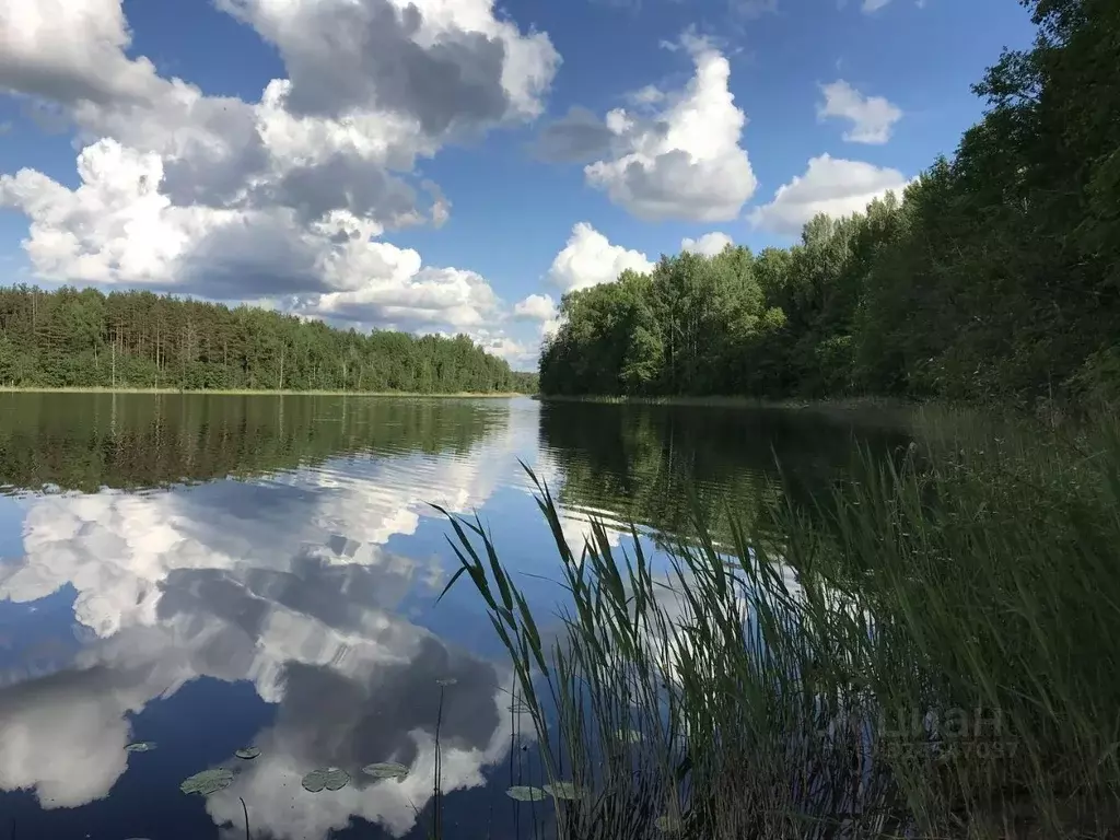Участок в Тверская область, Андреапольский район, д. Быстри  (8.0 ... - Фото 1