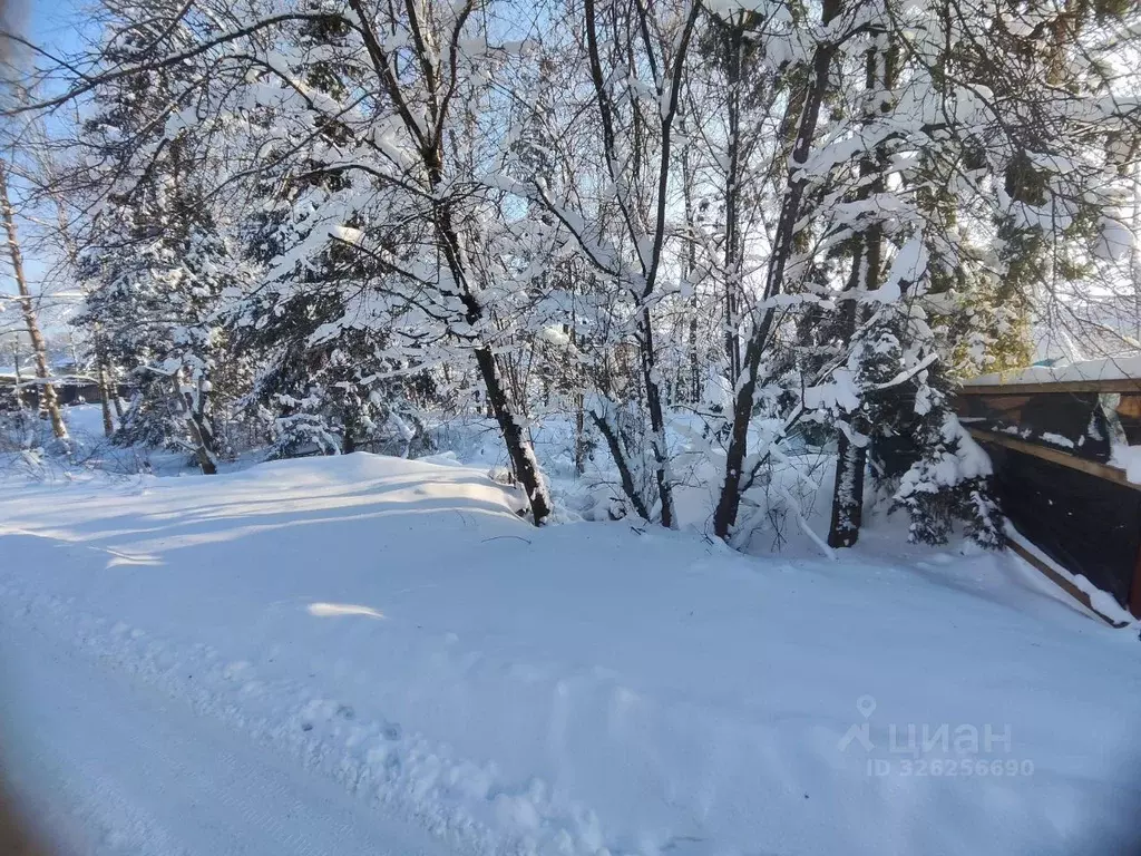 Участок в Московская область, Солнечногорск городской округ, д. ... - Фото 2