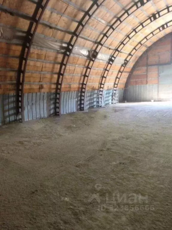 Склад в Московская область, Богородский городской округ, имени ... - Фото 2