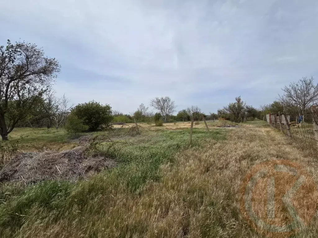 Участок в Крым, Сакский район, Митяевское с/пос, Химик-3 СНТ  (5.0 ... - Фото 2