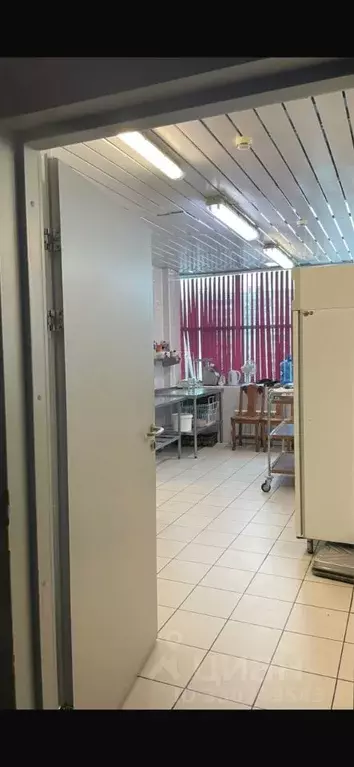 Помещение свободного назначения в Челябинская область, Челябинск ул. ... - Фото 2