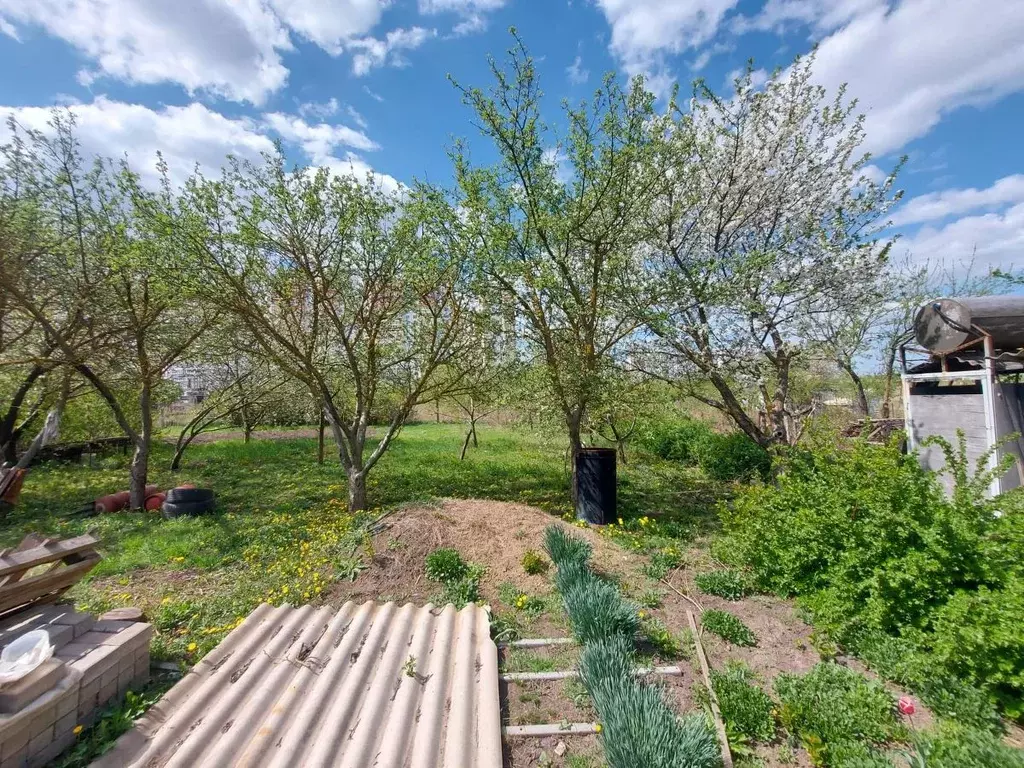 Участок в Ростовская область, Ростов-на-Дону Защитник садовое ... - Фото 2