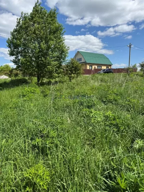 Участок в Нижегородская область, Нижний Новгород с. Большое Мокрое, ... - Фото 1