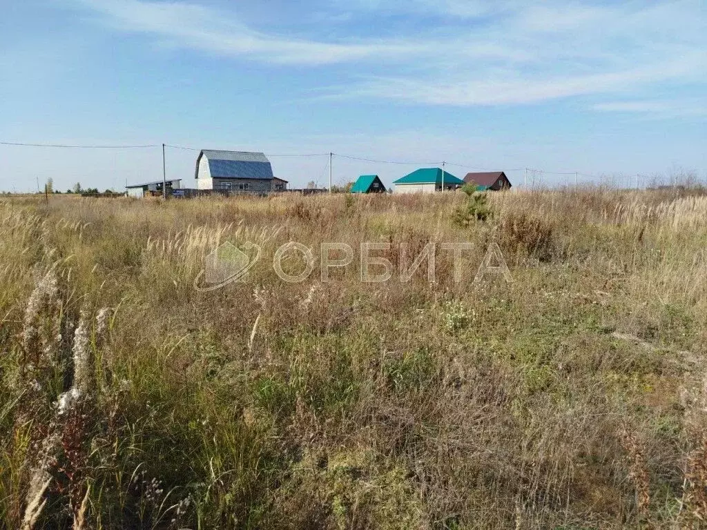 Участок в Тюменская область, Тюменский муниципальный округ, с. Борки  ... - Фото 2