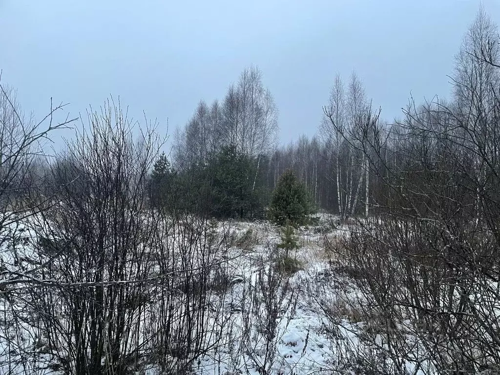Участок в Московская область, Павлово-Посадский городской округ, д. ... - Фото 2