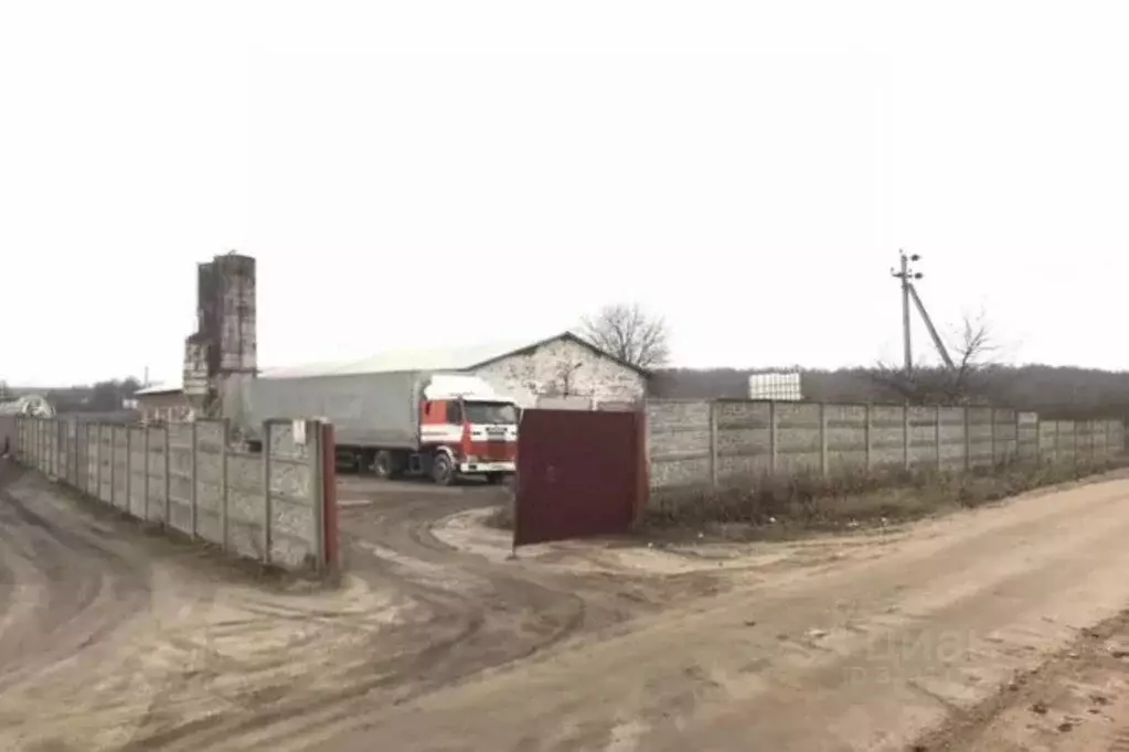 Помещение свободного назначения в Смоленская область, Смоленский ... - Фото 1