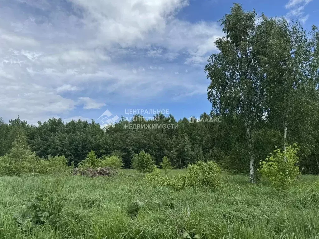 Участок в Рязанская область, Рязанский муниципальный округ, пос. ... - Фото 1