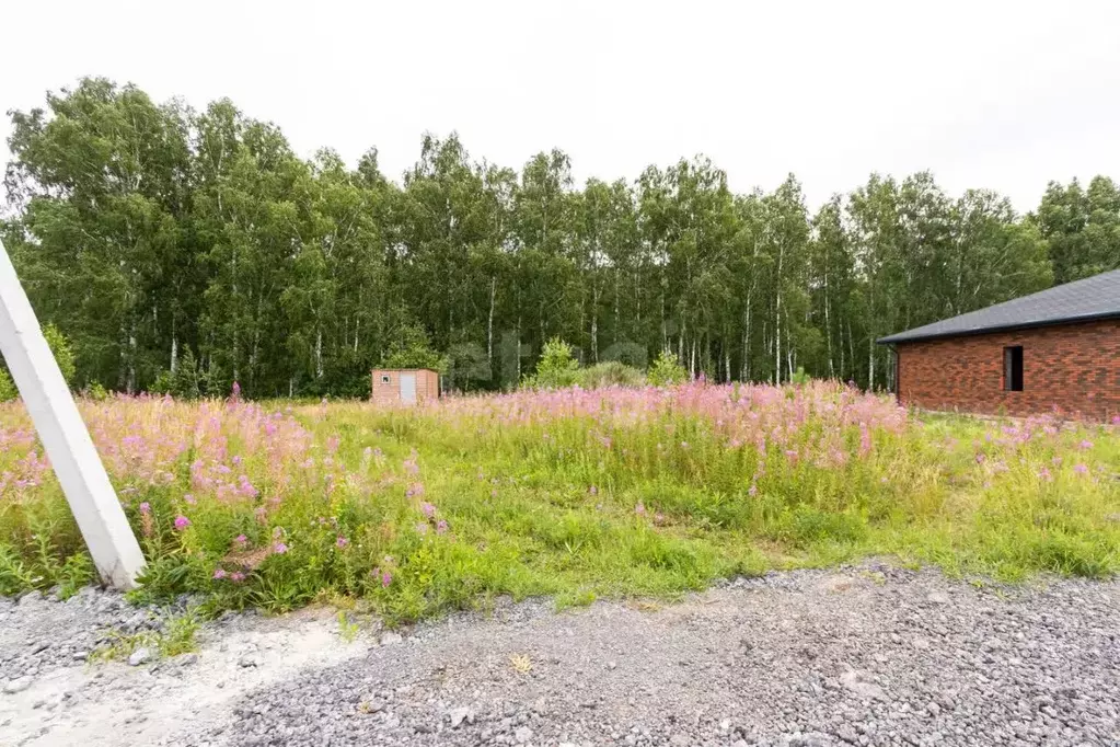 Участок в Тюменская область, Тюменский муниципальный округ, д. Елань ... - Фото 1