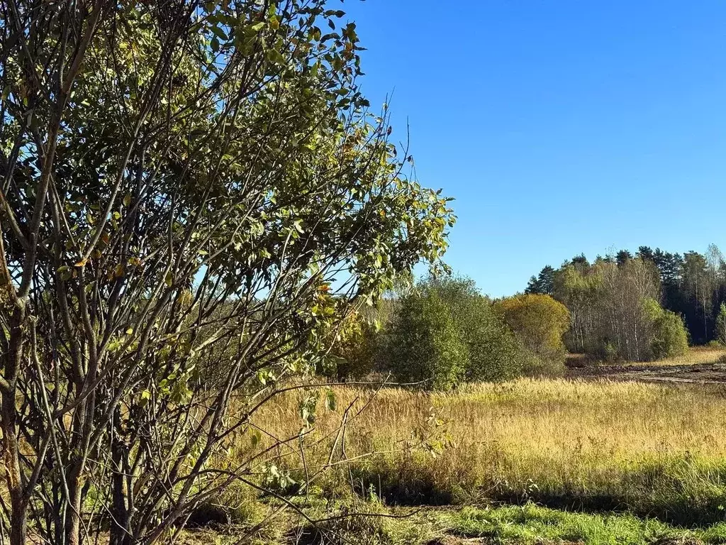 Участок в Московская область, Дмитровский муниципальный округ, Ерыково ... - Фото 2