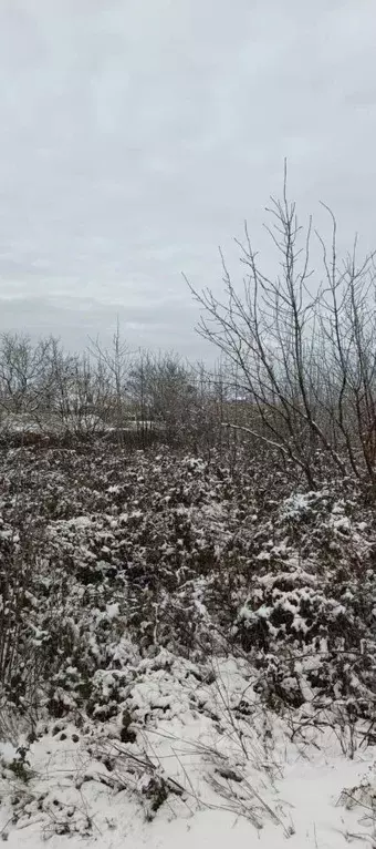 Участок в Ставропольский край, Ставрополь Грушовое садовое ... - Фото 2