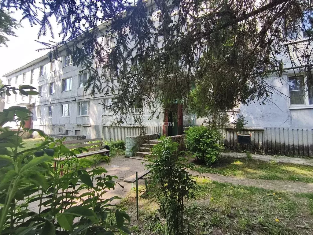3-к кв. Рязанская область, Пронский муниципальный округ, с. Береговая ... - Фото 1