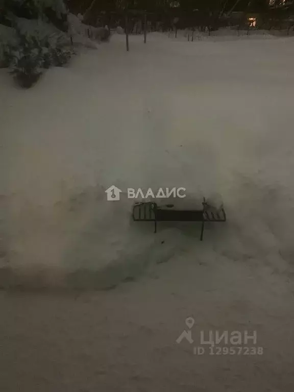 Участок в Владимирская область, Суздальский район, Новоалександровское ... - Фото 1