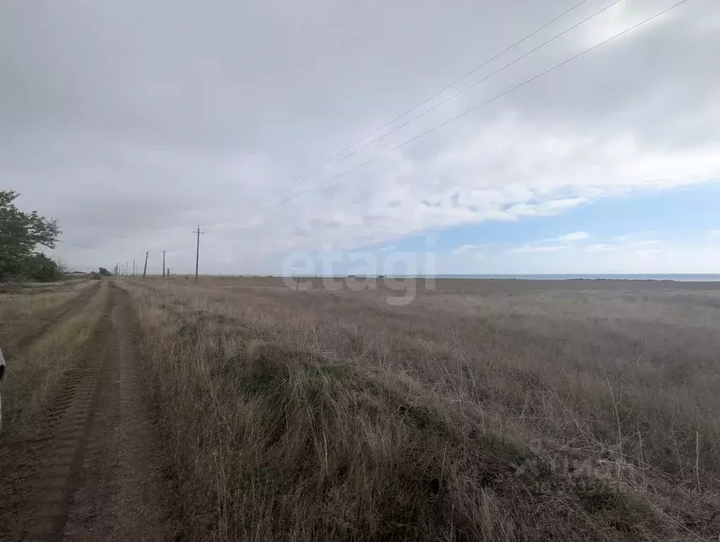 Участок в Крым, Черноморский район, Окуневское с/пос, с. Марьино  ... - Фото 1