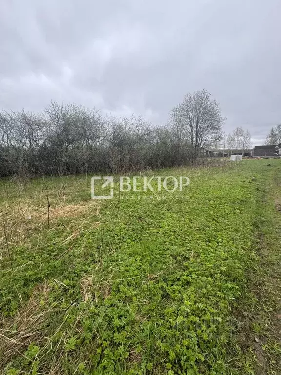 Участок в Костромская область, Костромской район, Самсоновское с/пос, ... - Фото 2