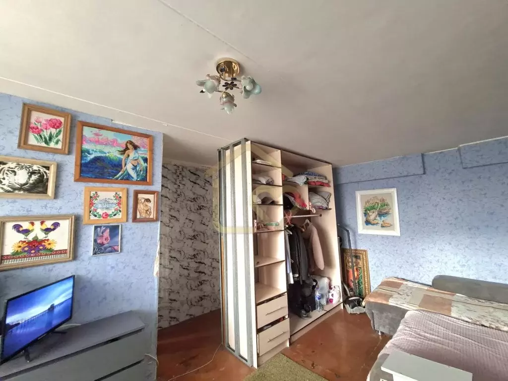 1-к кв. Московская область, Пушкино Писаревская ул., 3 (30.0 м) - Фото 2