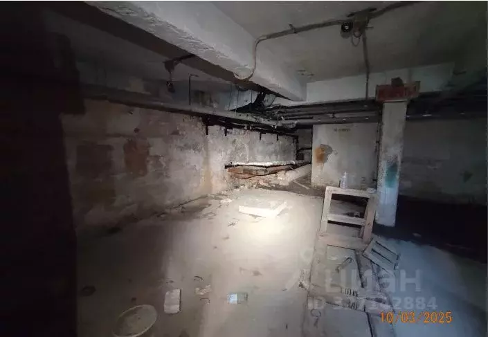 Помещение свободного назначения в Нижегородская область, Нижний ... - Фото 2