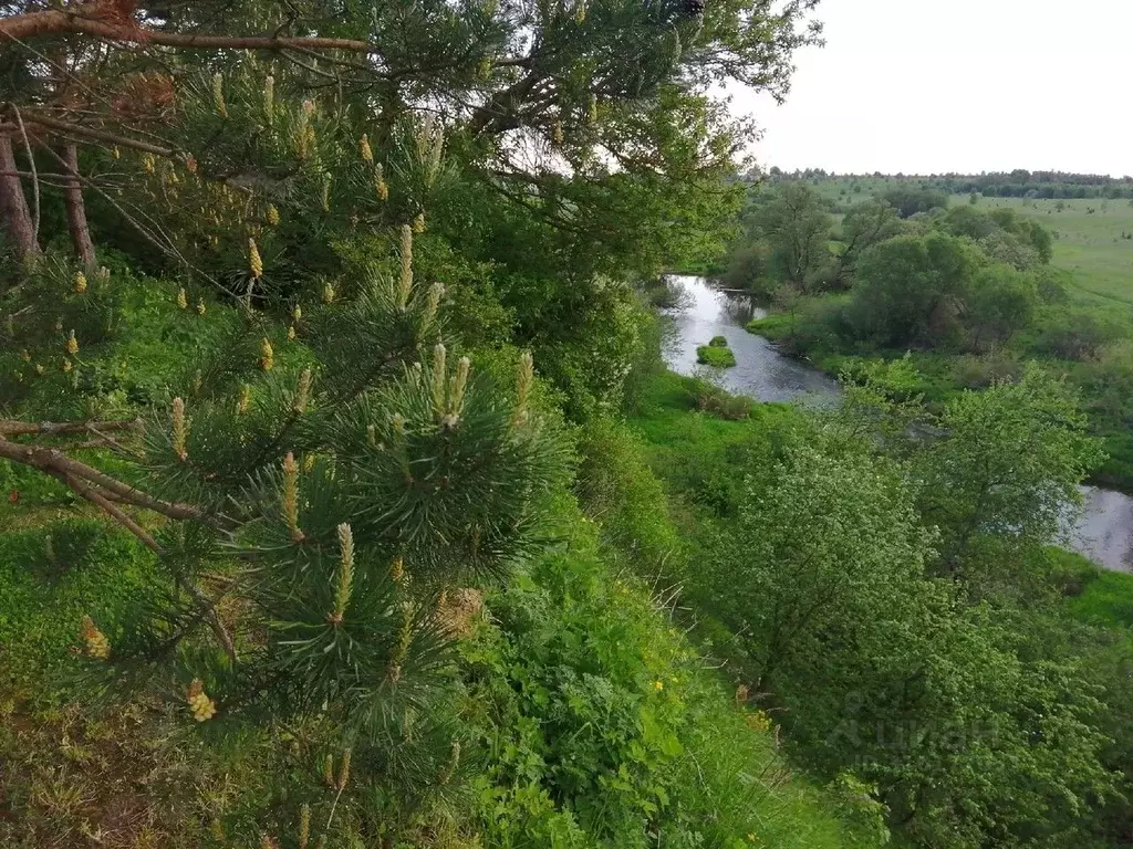 Участок в Московская область, Можайский городской округ, д. Неровново  ... - Фото 1