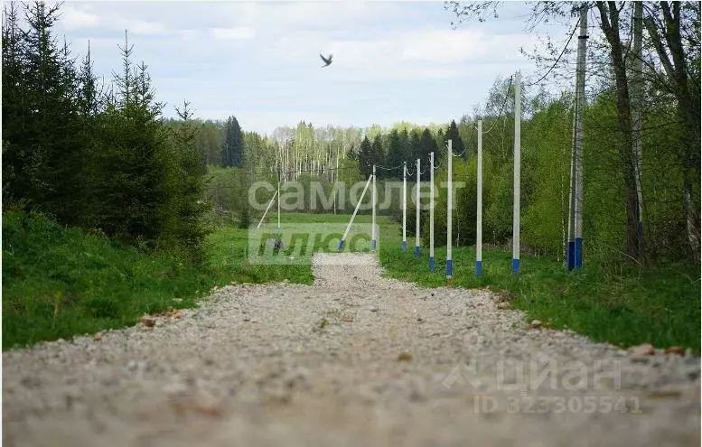 Участок в Московская область, Клин городской округ, Совино кп  (9.5 ... - Фото 2