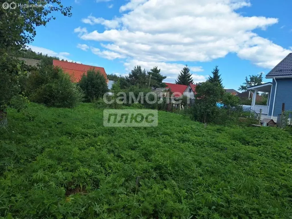 Участок в Богородский городской округ, СНТ Виктория (Ельня) (10 м) - Фото 1