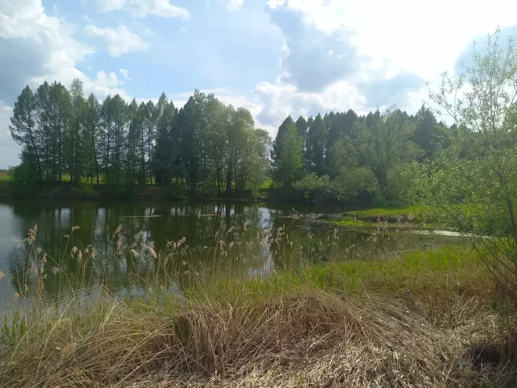 Участок в Чувашия, Мариинско-Посадский муниципальный округ  (22.0 ... - Фото 1
