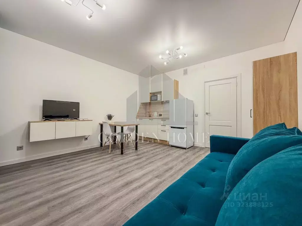 Студия Санкт-Петербург Светлановский просп., 14к1 (27.0 м) - Фото 2