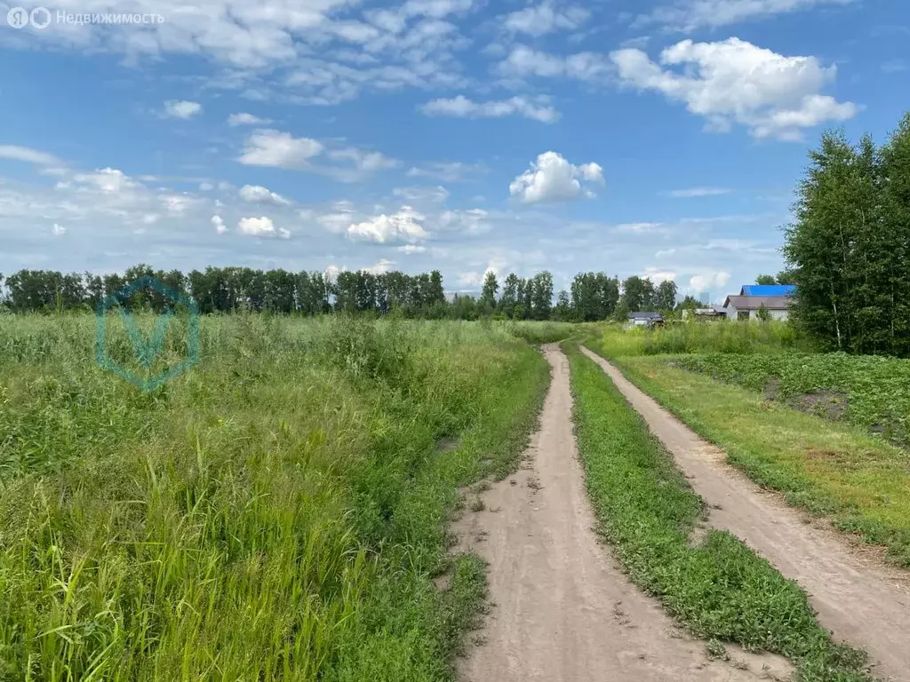 Участок в Омский, улица Ленина, 1 (10 м) - Фото 0