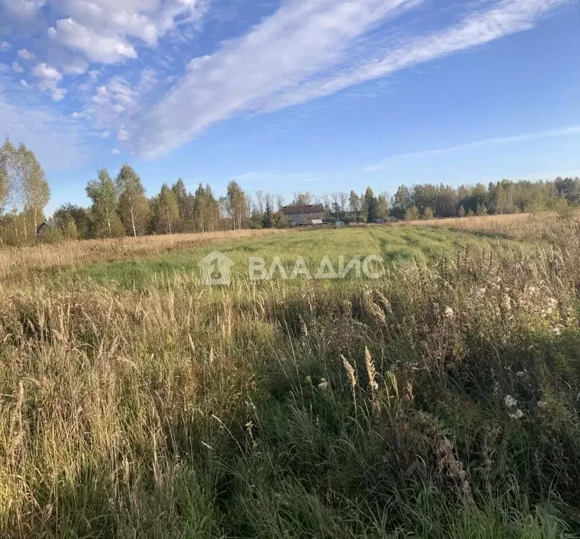 Участок в Нижегородская область, Нижний Новгород городской округ, д. ... - Фото 1