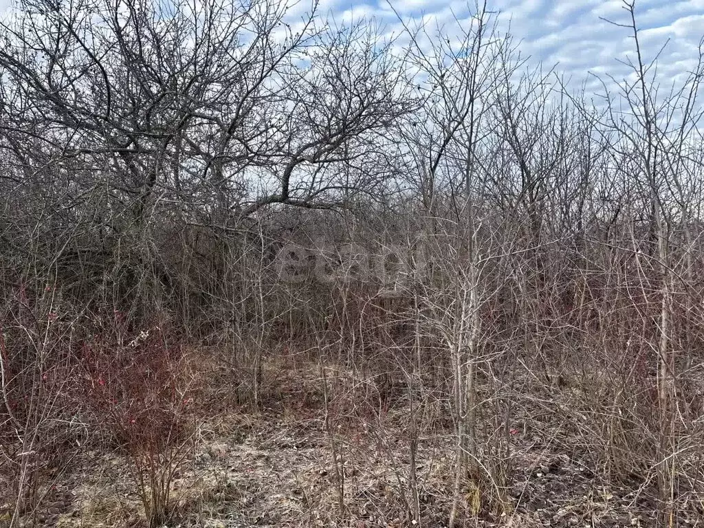 Участок в Стерлитамакский район, Октябрьский сельсовет, СНТ Родничок ... - Фото 2