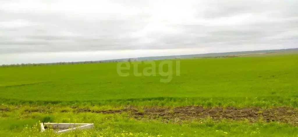 Участок в Приморский, Транспортная улица (205.26 м) - Фото 2