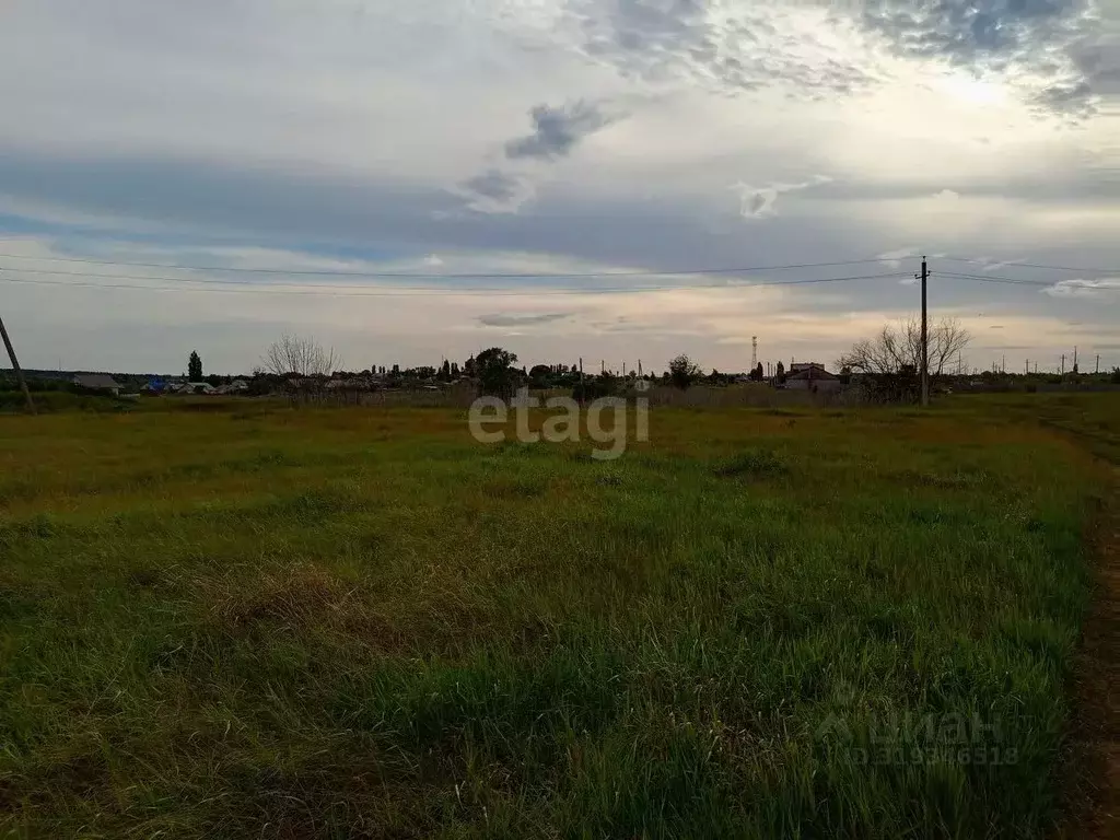Участок в Воронежская область, Борисоглебский городской округ, с. ... - Фото 0