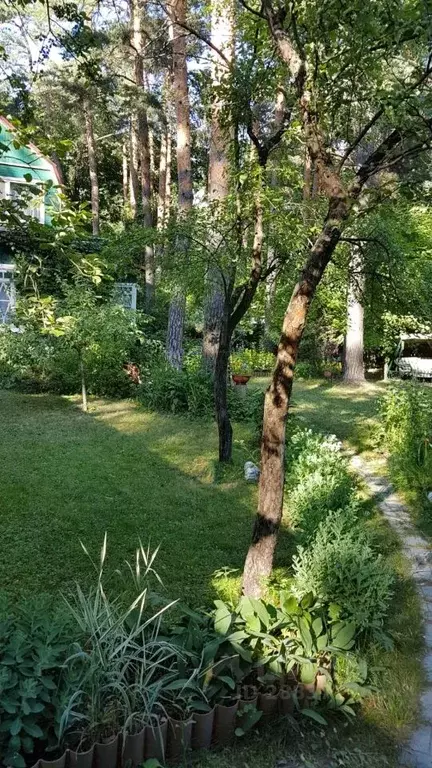 Дом в Московская область, Раменский городской округ, Кратово дп ул. ... - Фото 1