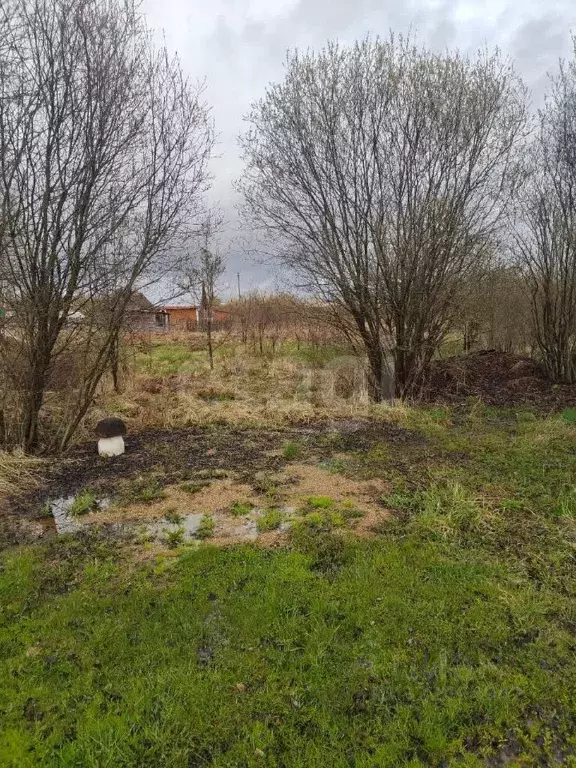 Участок в Вологодская область, Ягодка садоводческое товарищество  (4.7 ... - Фото 1