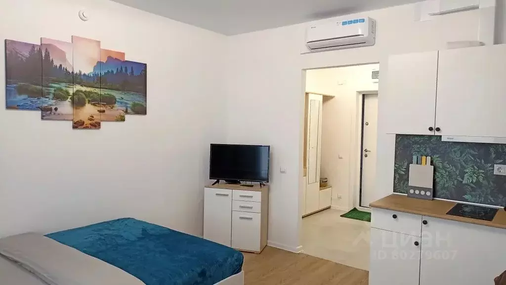 Студия Калужская область, Обнинск ул. Курчатова, 25/4 (24.0 м) - Фото 2