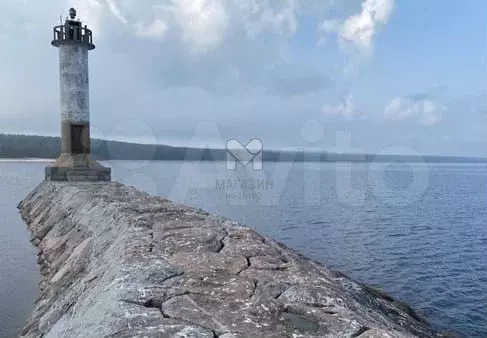 Участок 12 сот. (СНТ, ДНП) - Фото 0