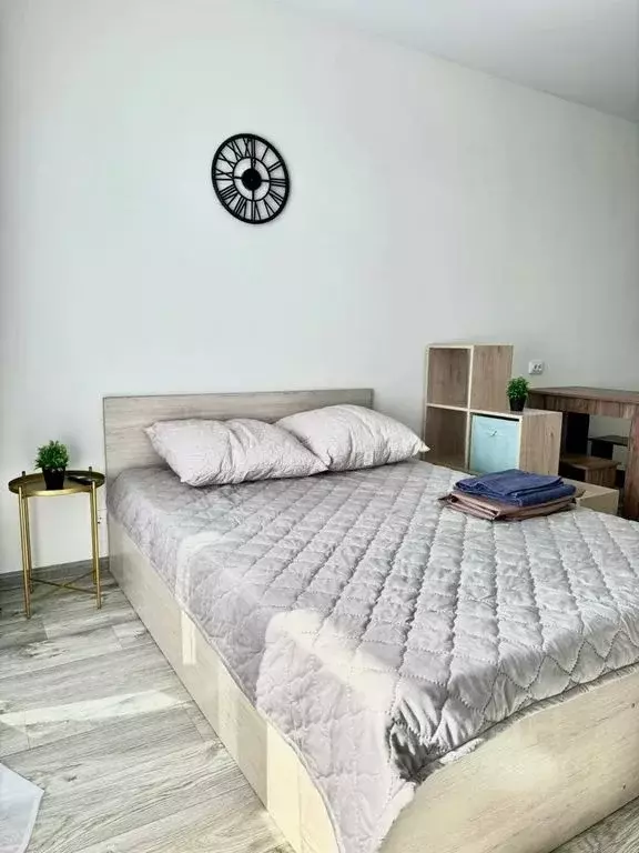 Студия Алтайский край, Барнаул Трудовой пер., 28А (27.0 м) - Фото 0