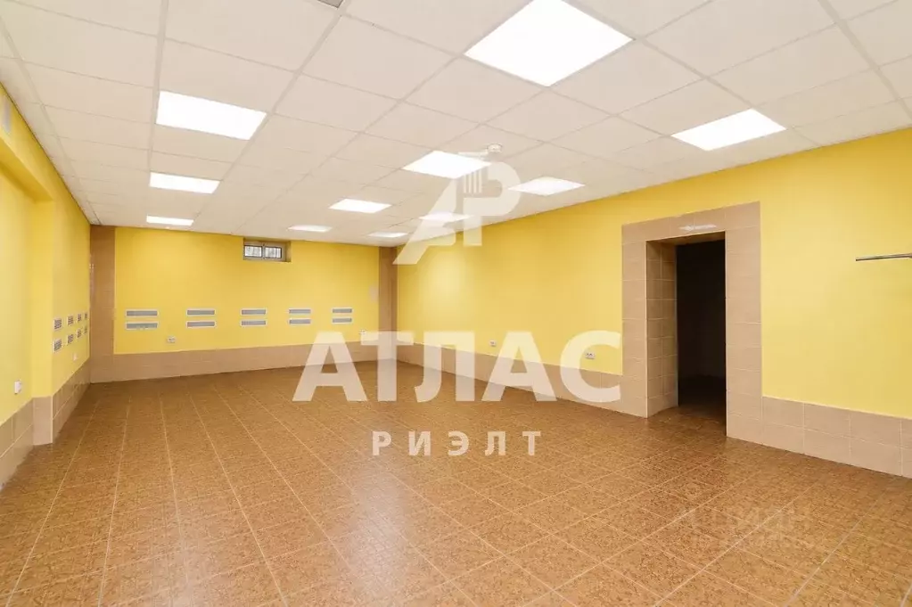 Торговая площадь в Омская область, Омск просп. Мира, 31 (257 м) - Фото 1