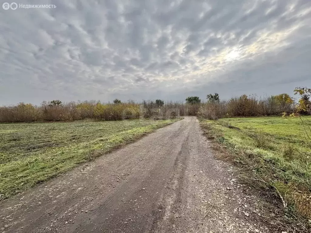 Участок в Тамбовский муниципальный округ, село Красносвободное (91 м) - Фото 2