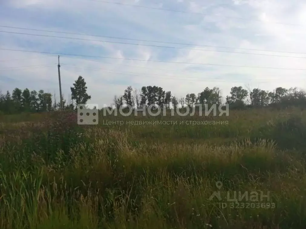 Участок в Амурская область, Белогорский муниципальный округ, с. ... - Фото 1