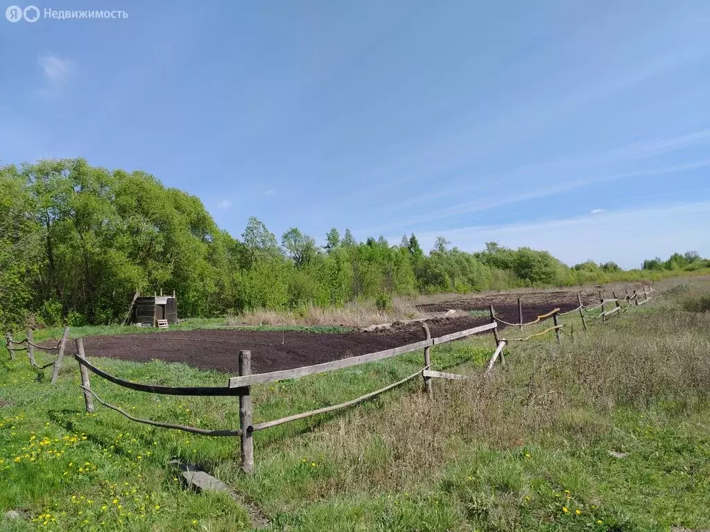 Участок в село Октябрьское, улица 9 Января, 40 (22 м) - Фото 1