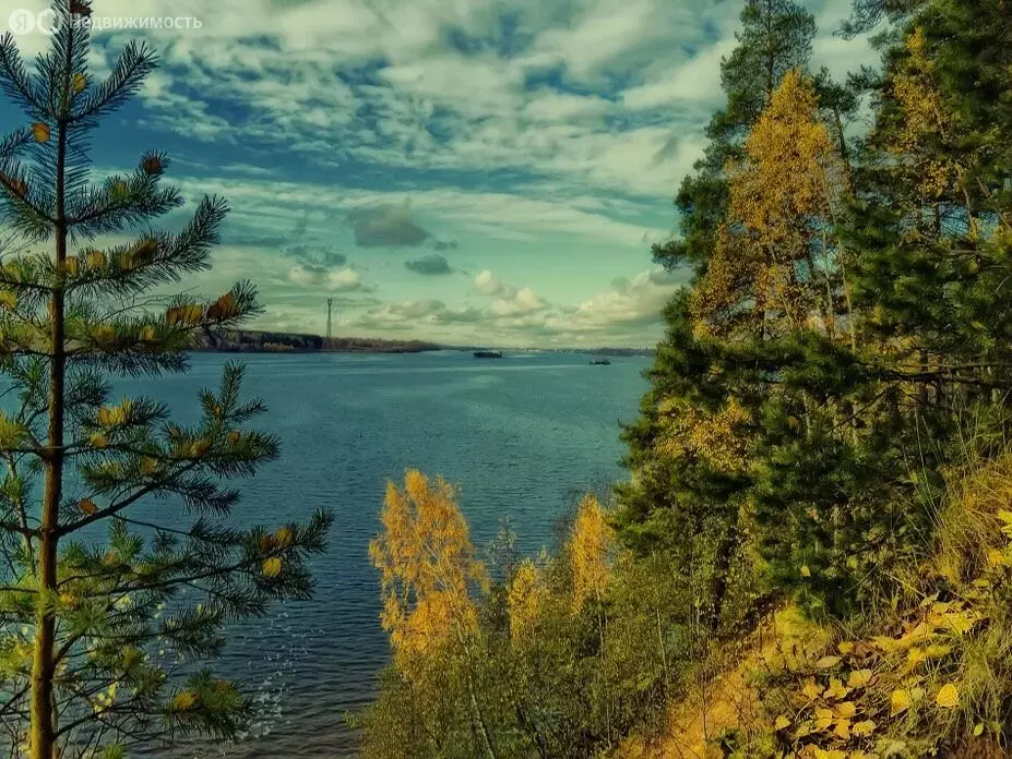Участок в Костромской район, Минское сельское поселение, село Минское ... - Фото 1