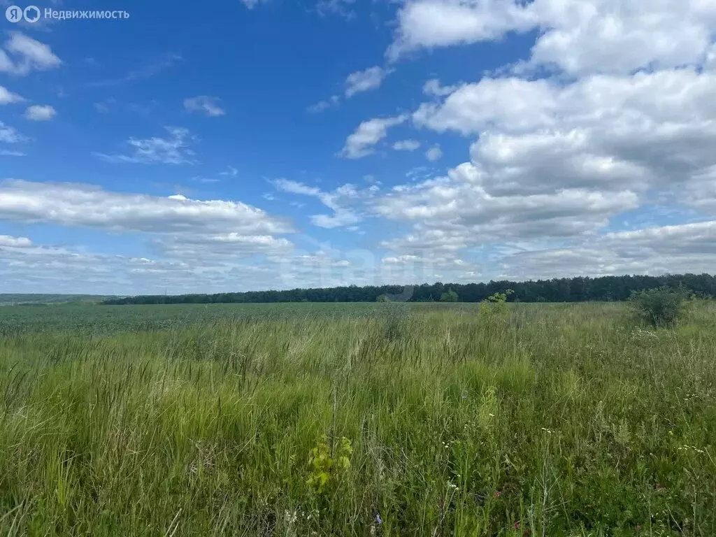 Участок в Лямбирский район, село Берсеневка (6.9 м) - Фото 2